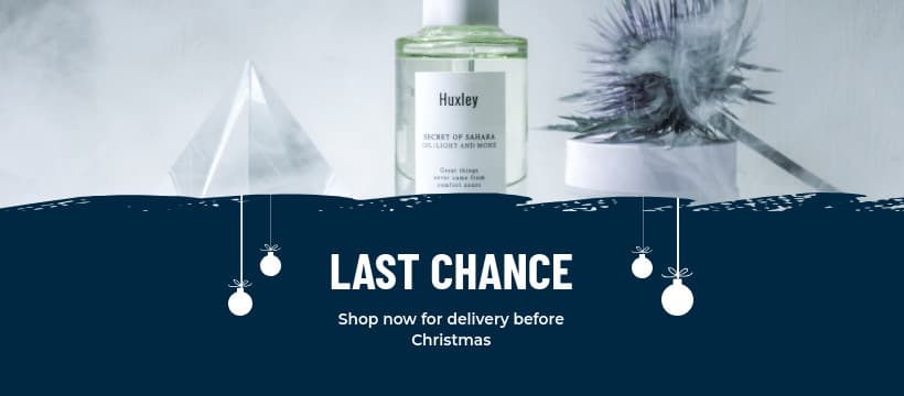 Last Chance Skin Care Christmas-820x360px-FacebookCover