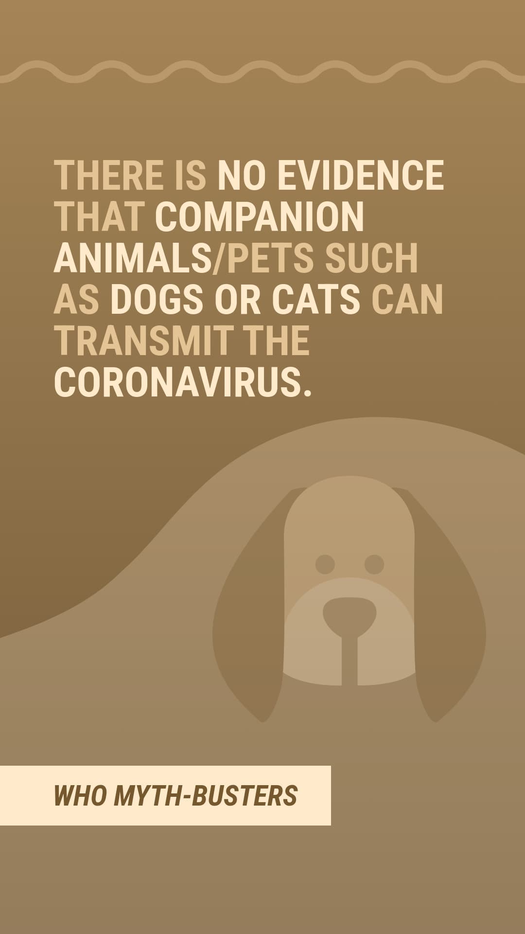 Myth Covid-19 Companion Animals-1080x1920 px