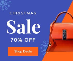 Christmas Sale Flakes-300x250px-MediumRectangle
