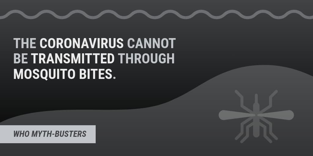 Myth Covid-19 Mosquito Bites-1024x512 px