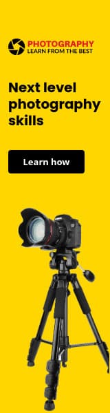 Next Level Photography Skills Animated-160x600px-WideSkyscraper