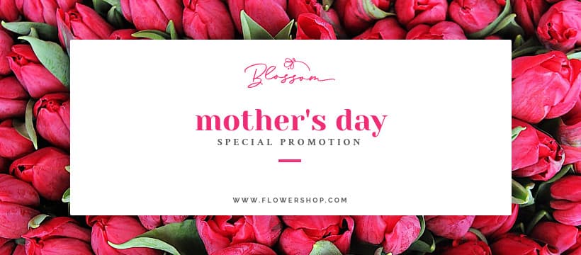 Mothers Day Special Promotion Tulips-820x360px-FacebookCover
