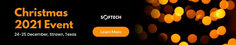 Festive Lights Christmas 2021 Event Animated-930x180px-TopBanner