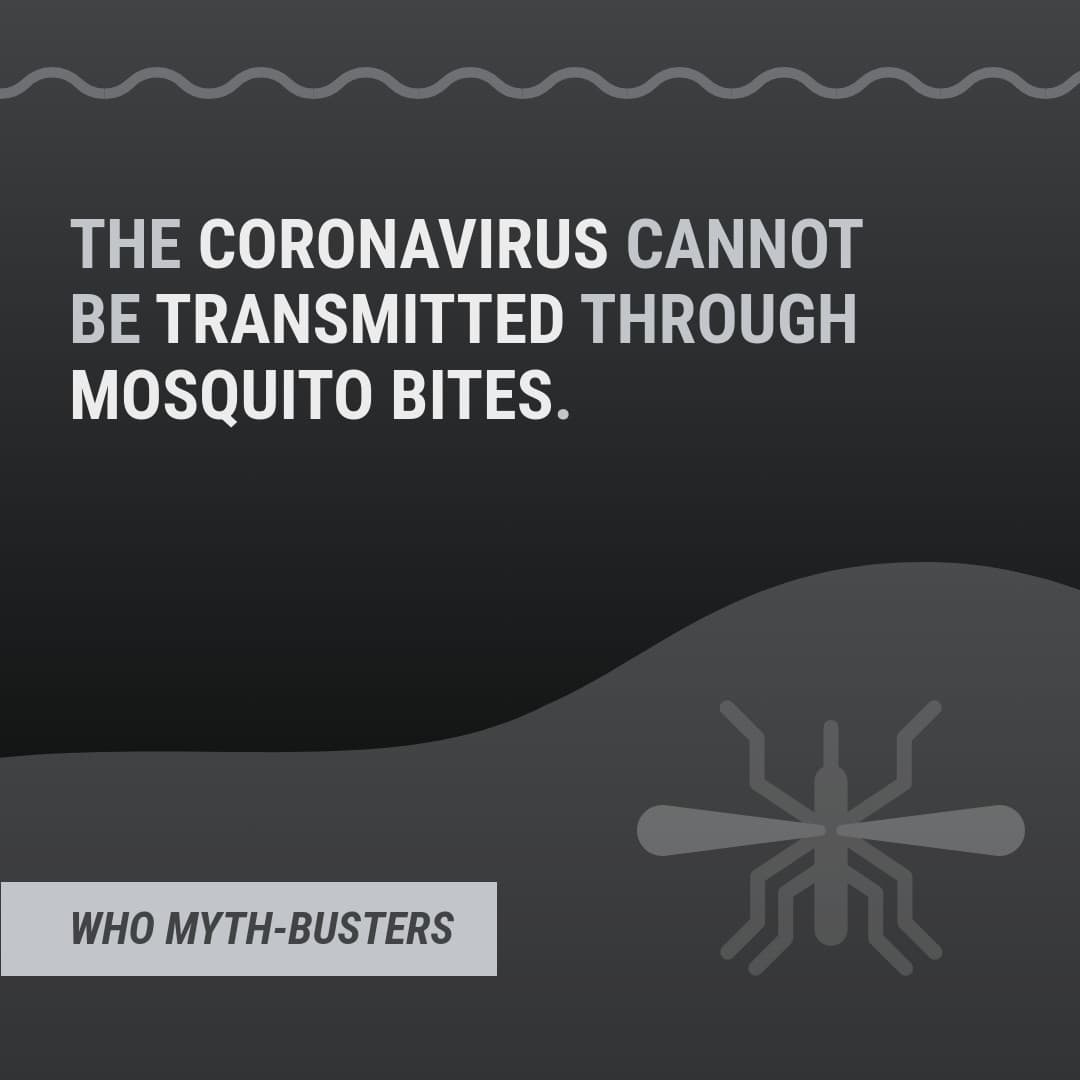 Myth Covid-19 Mosquito Bites-1080x1080 px