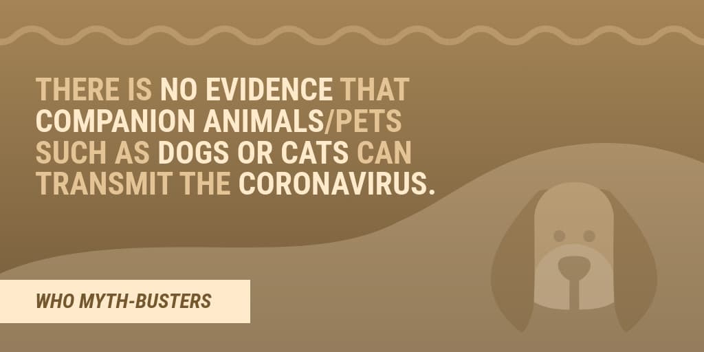 Myth Covid-19 Companion Animals-1024x512 px