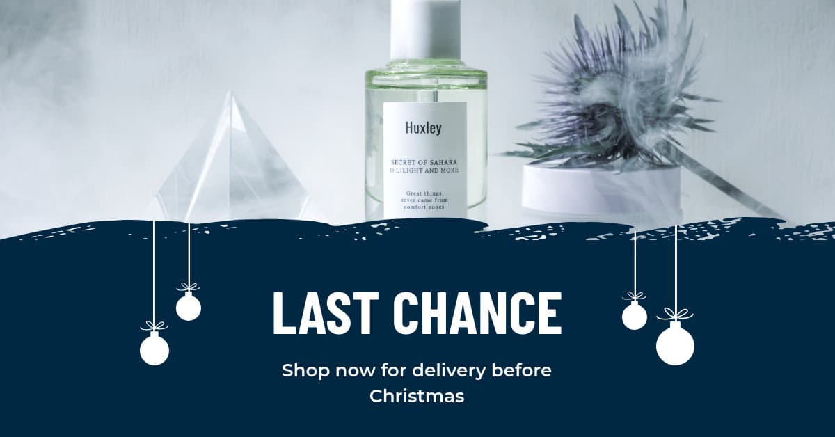 Last Chance Skin Care Christmas-1200x628px-FacebookSponsoredMessage