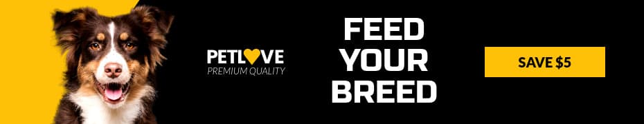 Feed Your Breed Pet Love Animated-930x180px-TopBanner