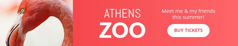 Meet the Flamingo at the Athens Zoo Animated-930x180px-TopBanner