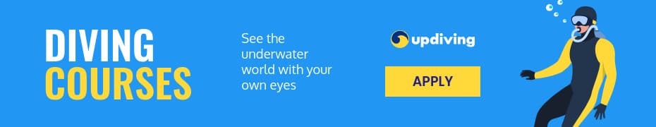 See the Underwater World Diving Courses-930x180px-TopBanner