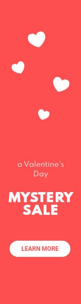Valentine's Day Mystery Sale-160x600px-WideSkyscraper