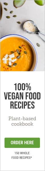 100 Vegan Food Recipes Animated-160x600px-WideSkyscraper
