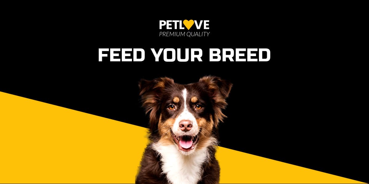 Feed Your Breed Pet Love Animated-1200x600px-TwitterImagePost