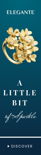 A Little Bit of Sparkle Animated-160x600px-WideSkyscraper