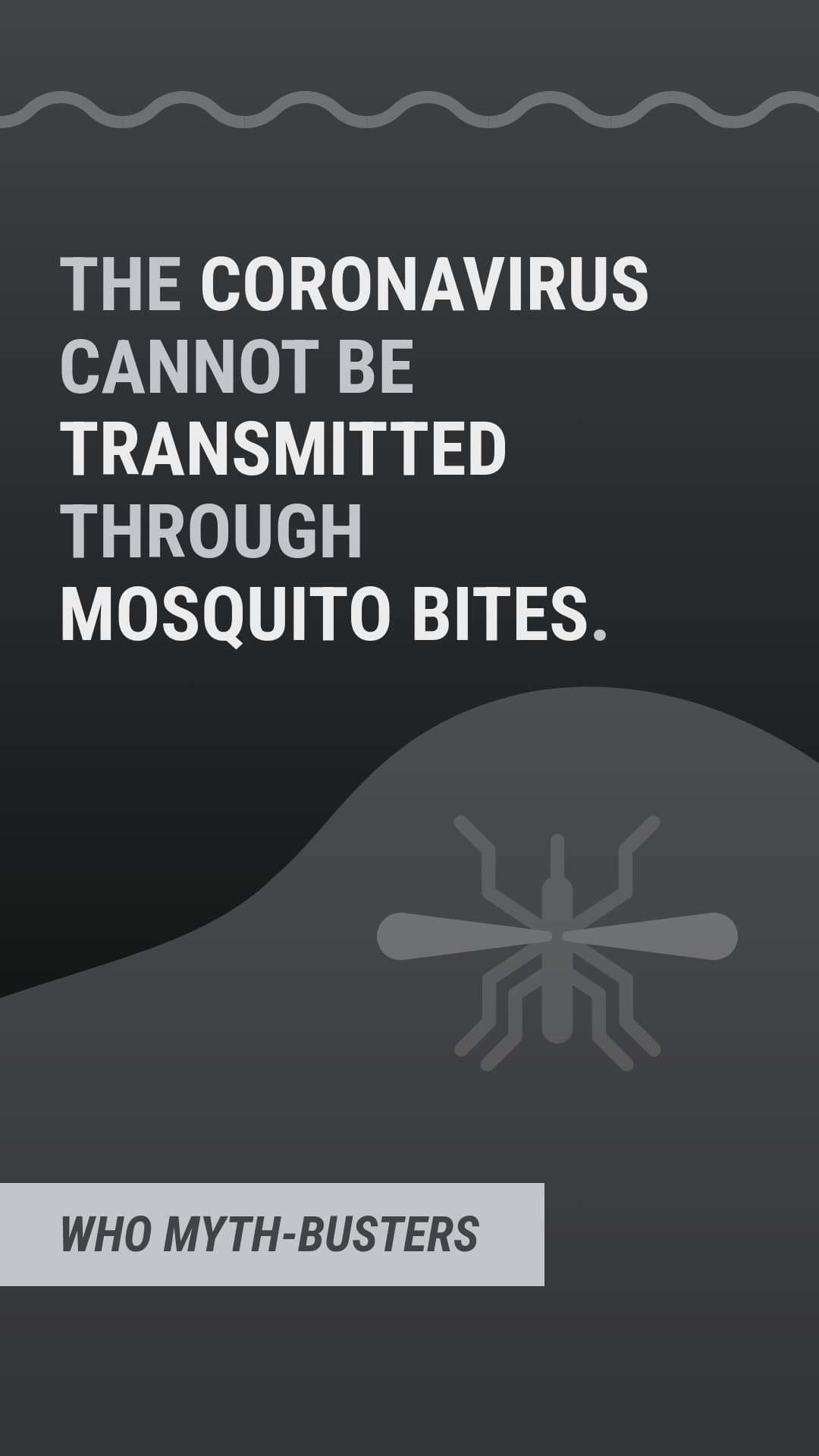 Myth Covid-19 Mosquito Bites-1080x1920 px
