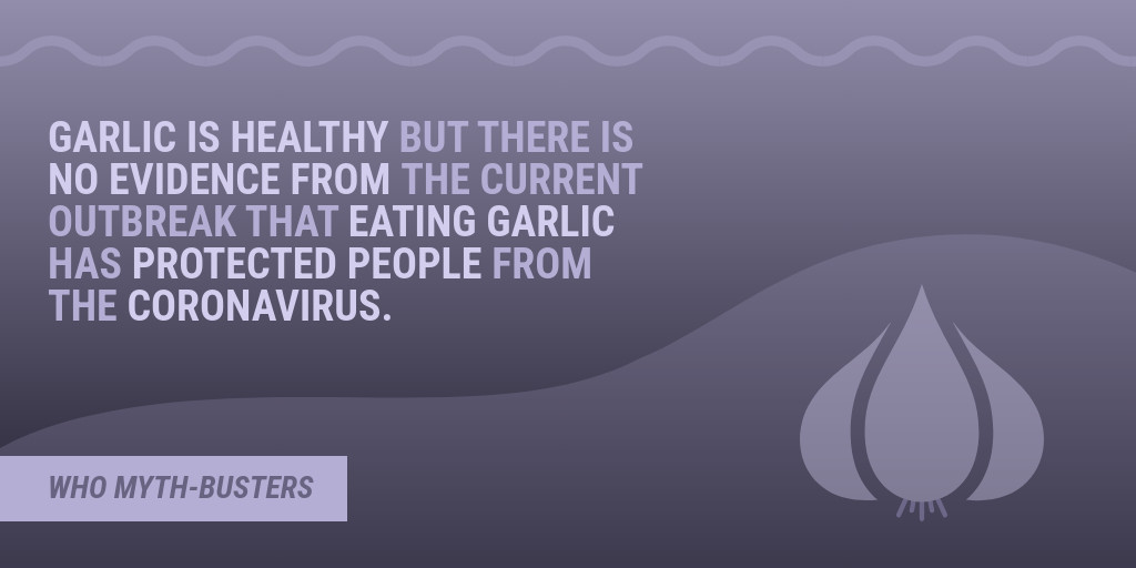 Myth Covid-19 Eating Garlic-1024x512 px