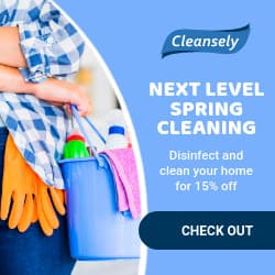 Next Level Spring Cleaning-250x250px-Square