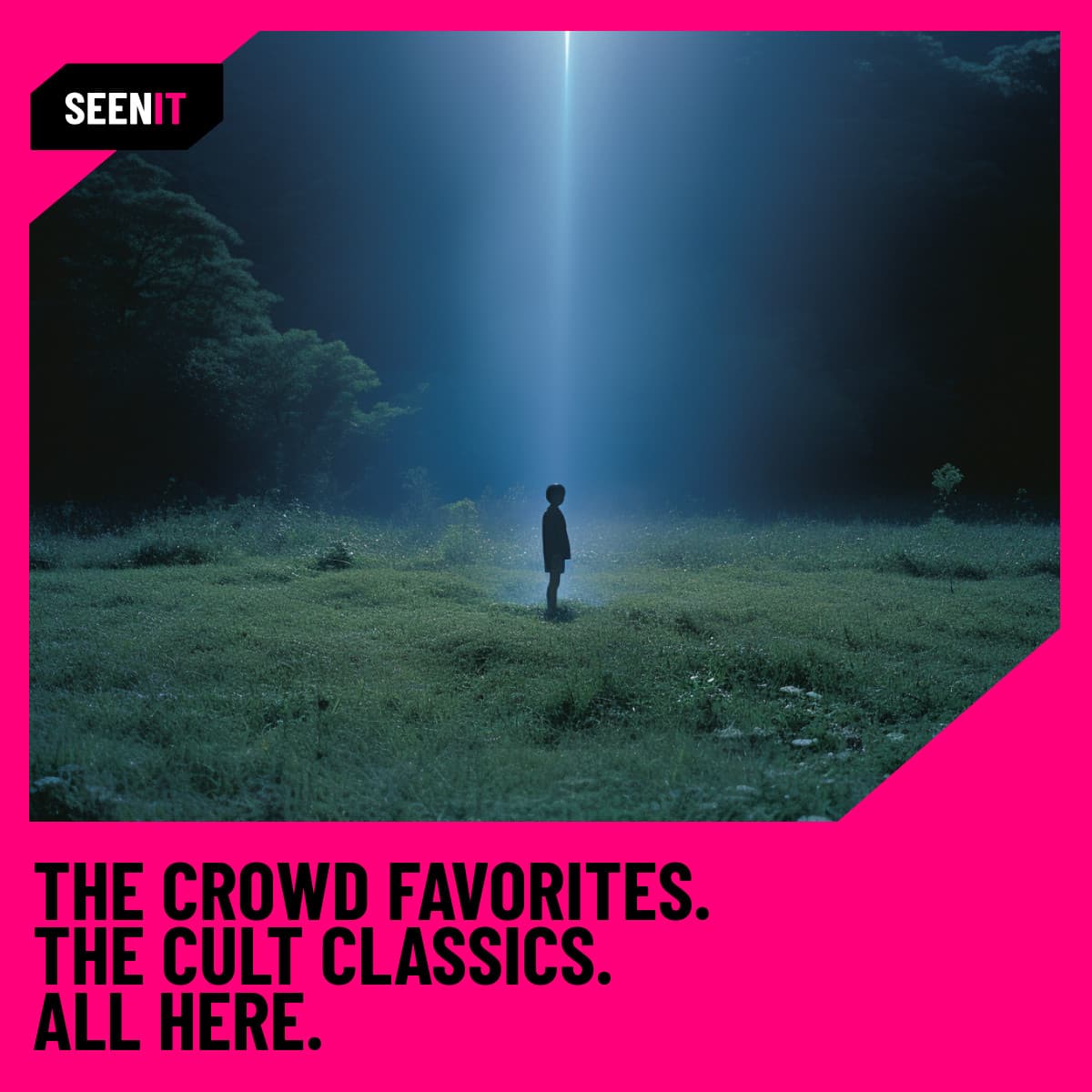 Crowd Favorites Seenit Movie Streaming Animated-336x280px-LargeRectangle-1200x1200px-FacebookSquareP