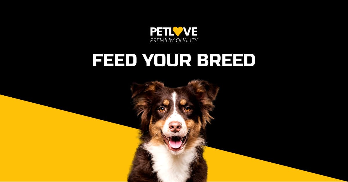 Feed Your Breed Pet Love Animated-1200x628px-FacebookSponsoredMessage