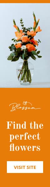 Orange Find the Perfect Flowers Animated-160x600px-WideSkyscraper