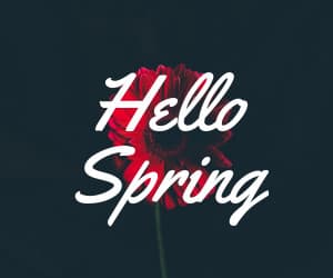 Hello Spring Red Flower-300x250px-MediumRectangle