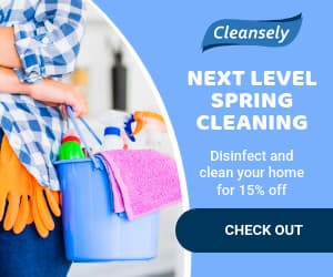 Next Level Spring Cleaning-300x250px-MediumRectangle