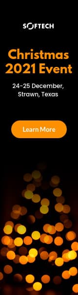 Festive Lights Christmas 2021 Event Animated-160x600px-WideSkyscraper