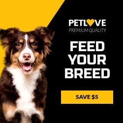 Feed Your Breed Pet Love Animated-250x250px-Square