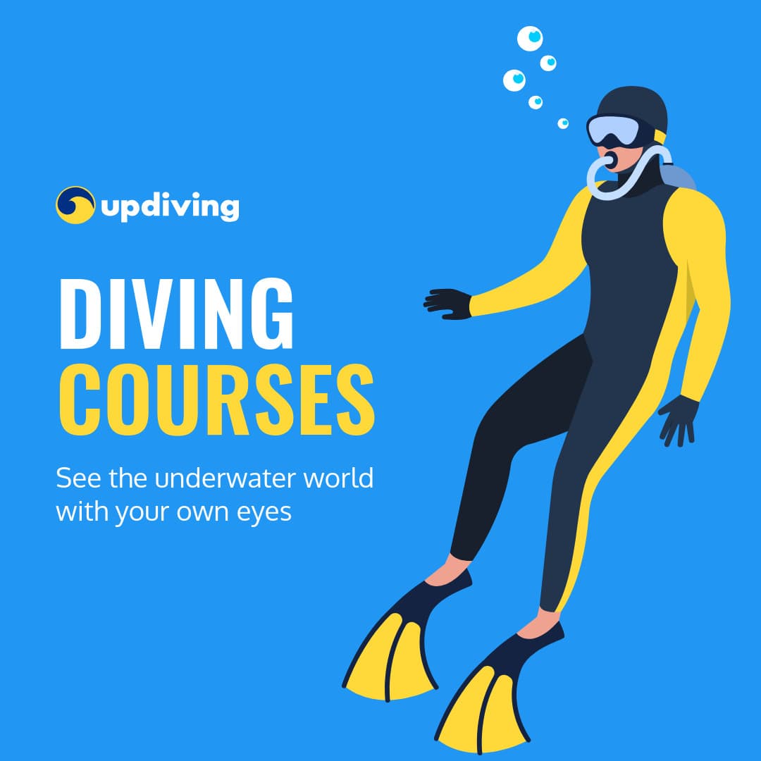 See the Underwater World Diving Courses-1080x1080px-InstagramPost