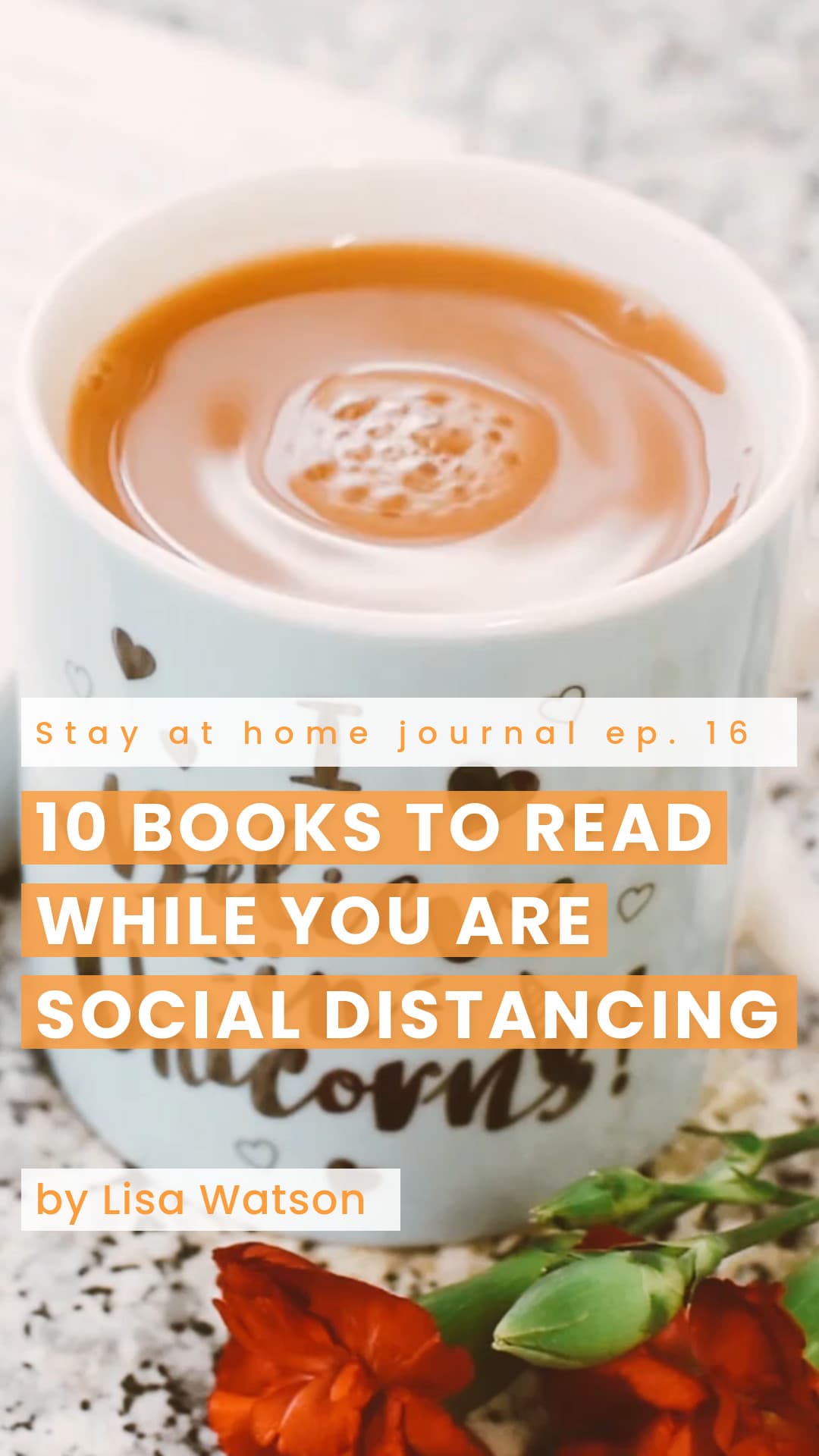 10 Books During Social Distancing Video-1080x1920px-VideoStory