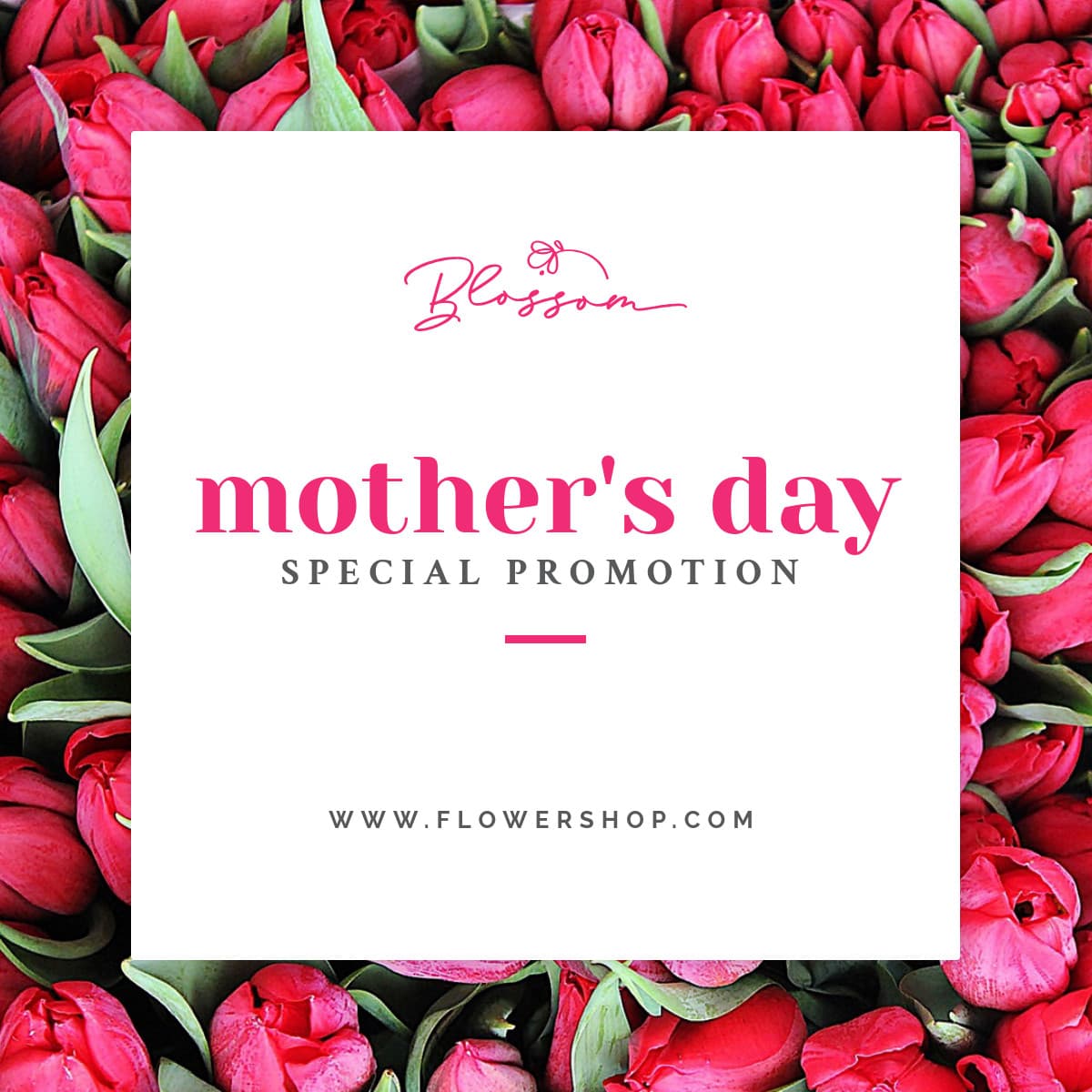 Mothers Day Special Promotion Tulips-1200x1200px-FacebookSquarePost