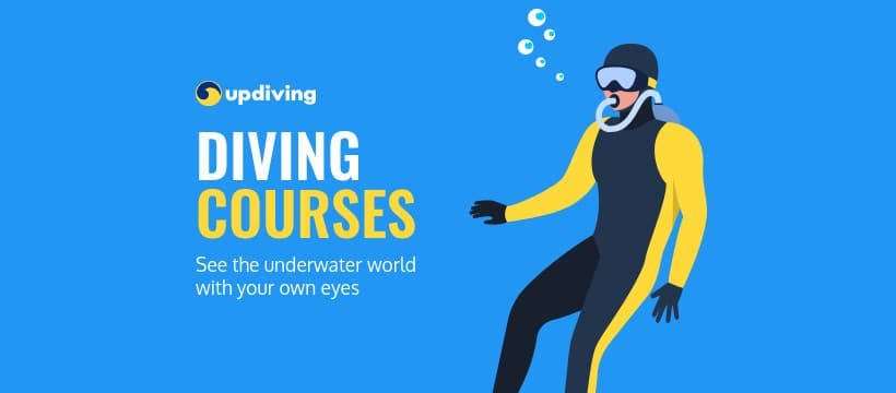 See the Underwater World Diving Courses-820x360px-FacebookCover