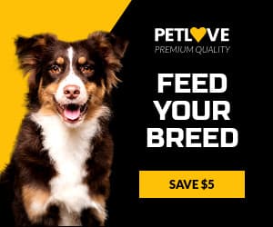 Feed Your Breed Pet Love Animated-300x250px-MediumRectangle