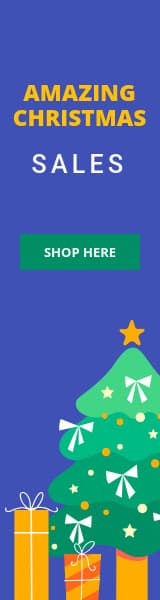 Amazing Christmas Sales-160x600px-WideSkyscraper
