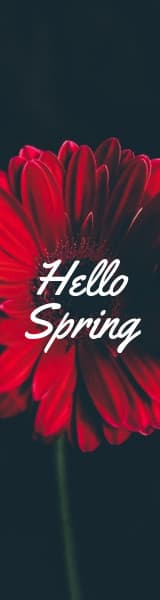 Hello Spring Red Flower-160x600px-WideSkyscraper