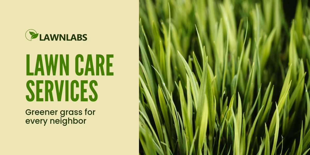 Greener Grass Lawn Care Services Animated-1200x600px-TwitterImagePost