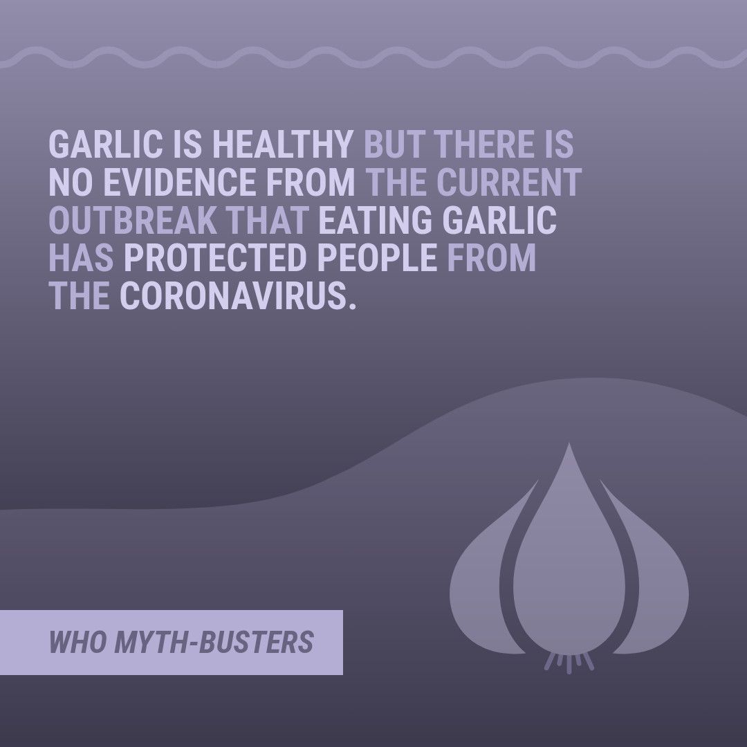 Myth Covid-19 Eating Garlic-1080x1080 px