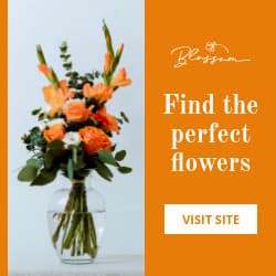 Orange Find the Perfect Flowers Animated-250x250px-Square