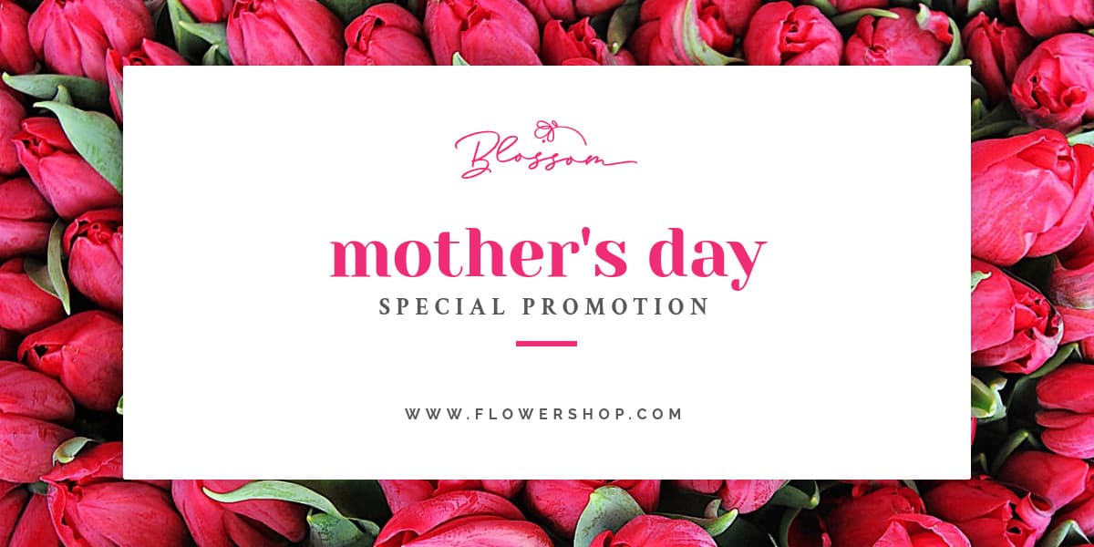 Mothers Day Special Promotion Tulips-1200x600px-TwitterImagePost