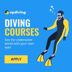 See the Underwater World Diving Courses-250x250px-Square