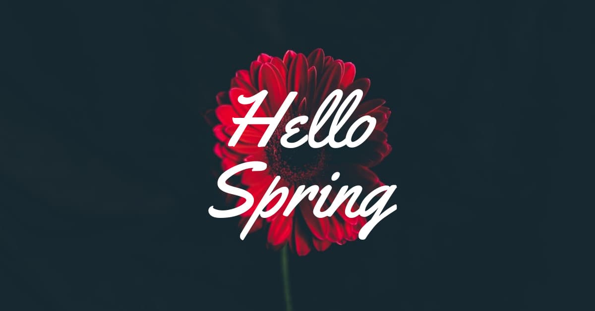 Hello Spring Red Flower-1200x628px-FacebookSponsoredMessage