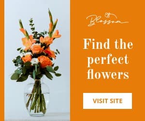 Orange Find the Perfect Flowers