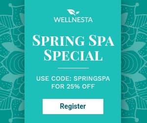 Teal Elegant Spring Spa Special Inline Rectangle