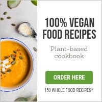 100 Vegan Food Recipes Small Square