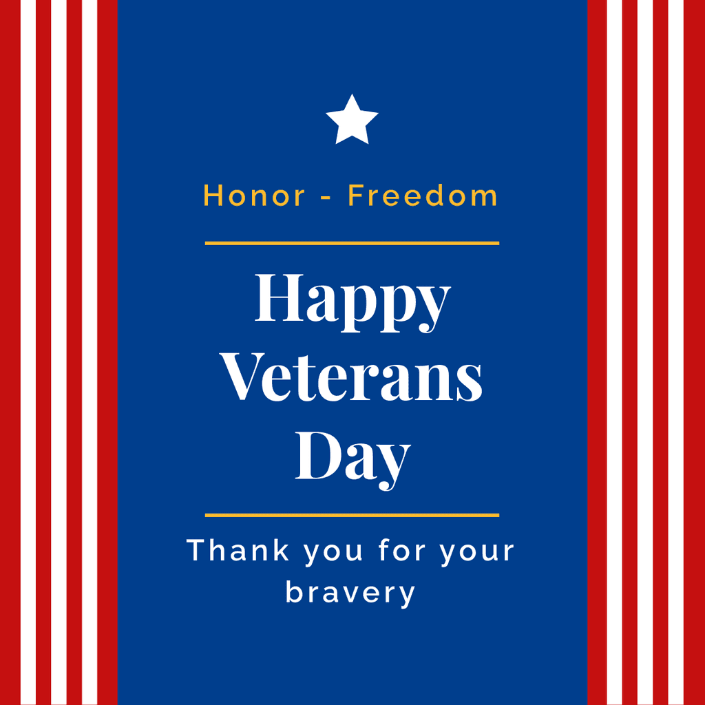 Veterans Day Honor and Freedom