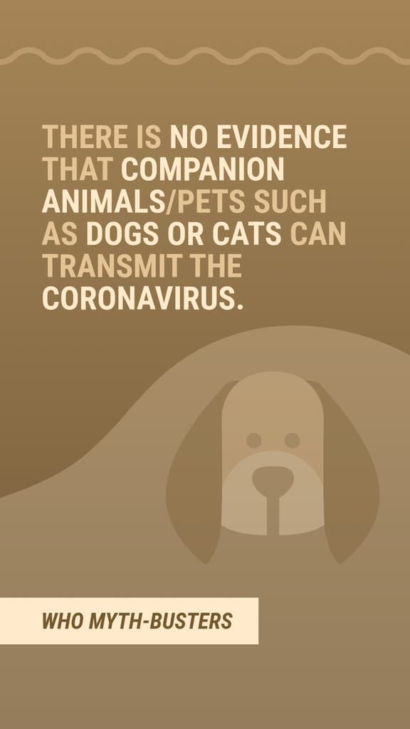 Myth Covid-19 Companion Animals