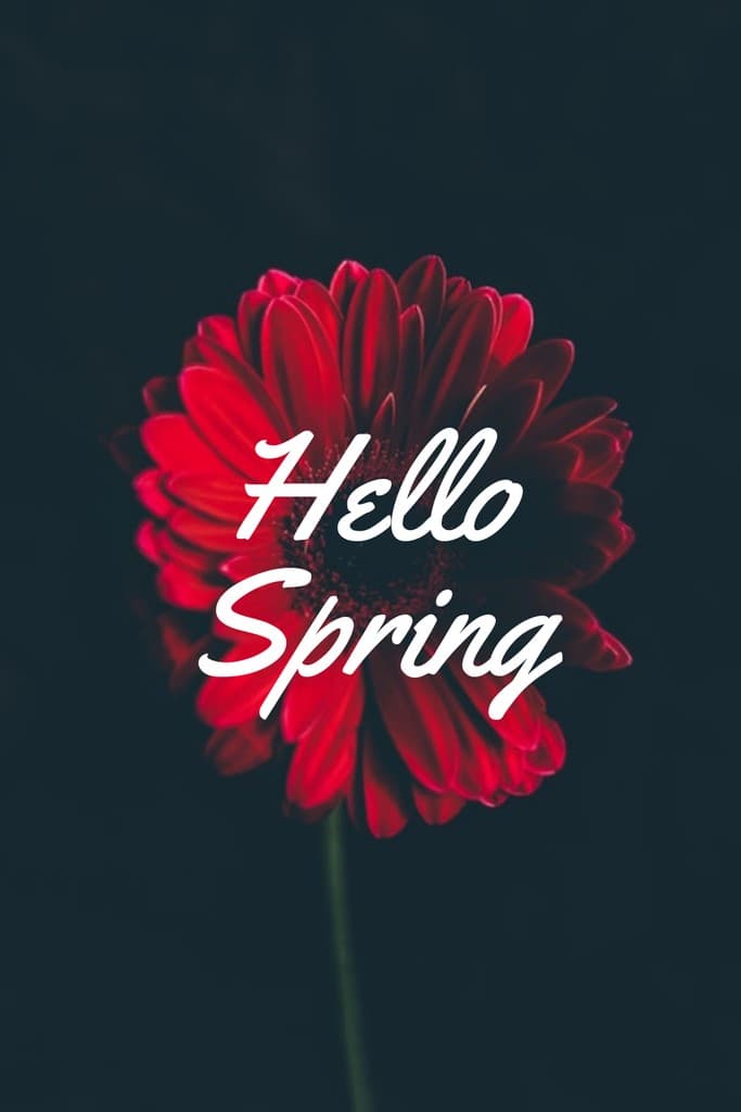 Hello Spring Red Flower Pinterest Pin Tall