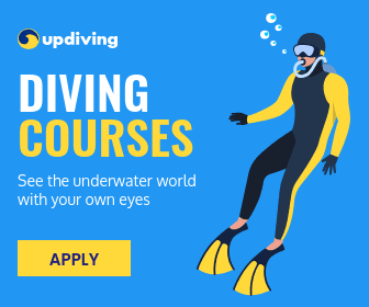 See the Underwater World Diving Courses Large Rectangle
