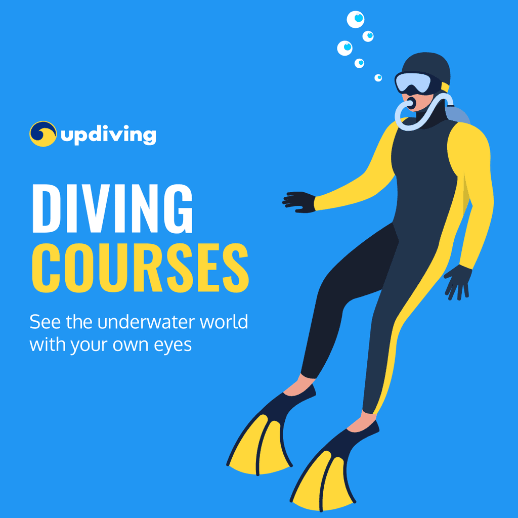 See the Underwater World Diving Courses Facebook Square Post