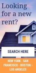 Looking for a New Rent Vertical Banner