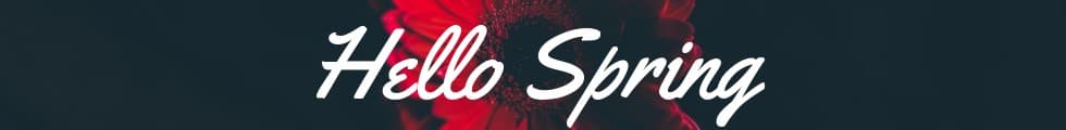 Hello Spring Red Flower Panorama